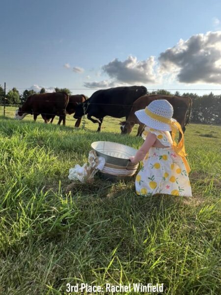 Girl in a summer dress sitting by a metal bucket with cows in the background.