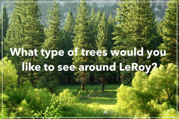 tree question